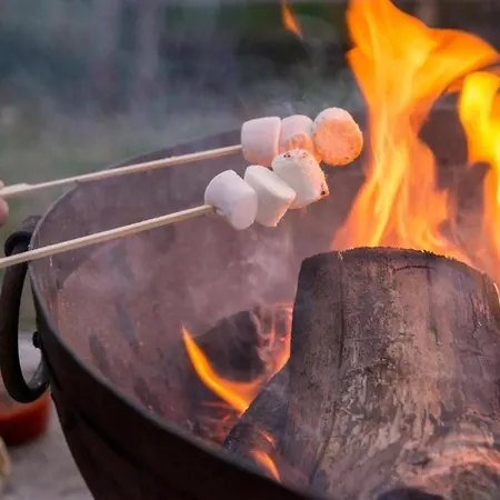Father Ted Retro Caravan! Campingplatz