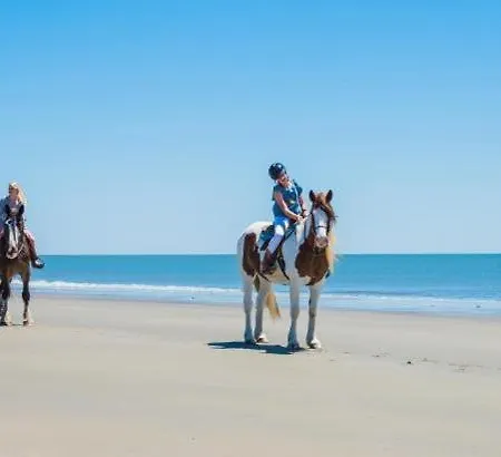 Campingplatz Father Ted Retro Caravan! *