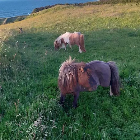 Father Ted Retro Caravan! *