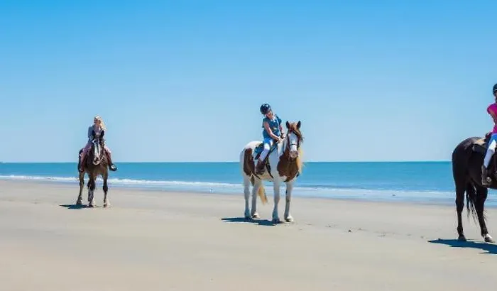 Кемпинг Father Ted Retro Caravan! *