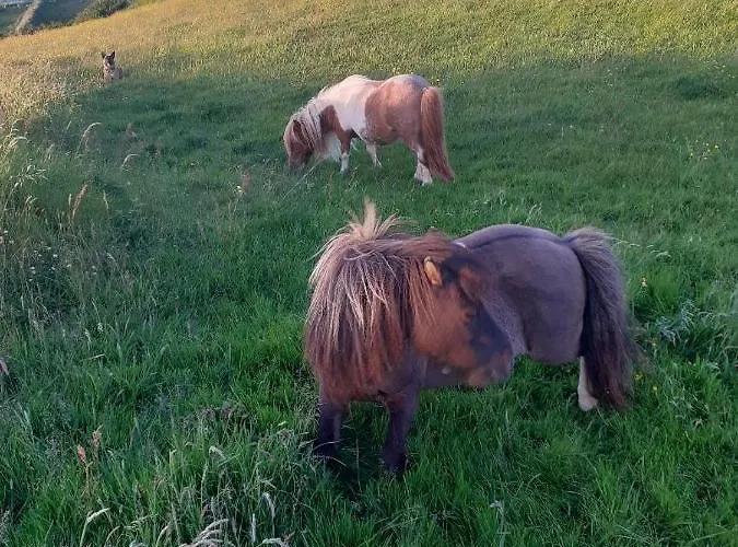 Father Ted Retro Caravan! *